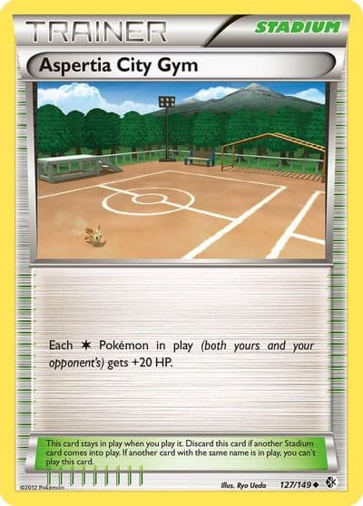 Aspertia City Gym Boundaries Crossed Pokemon card
