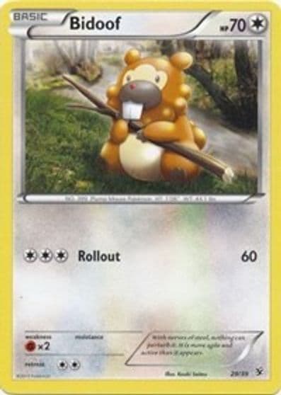 Bidoof Kalos Starter Set Pokemon card