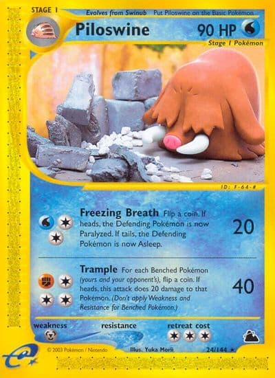 Piloswine (24) Skyridge Pokemon card