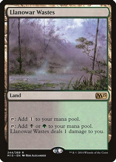 Llanowar Wastes Magic 2015 (M15) Magic card