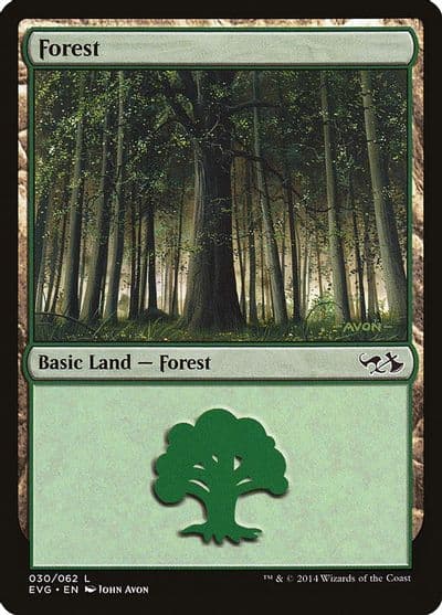 Forest 030 EVG Duel Decks: Anthology Magic card