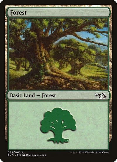 Forest 031 EVG Duel Decks: Anthology Magic card