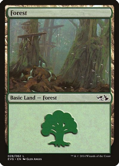 Forest 028 EVG Duel Decks: Anthology Magic card