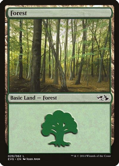 Forest 029 EVG Duel Decks: Anthology Magic card