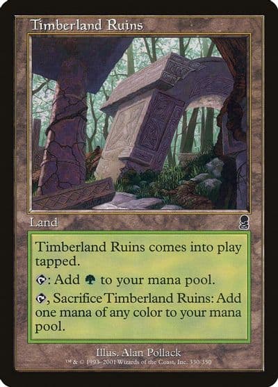 Timberland Ruins Odyssey Magic card