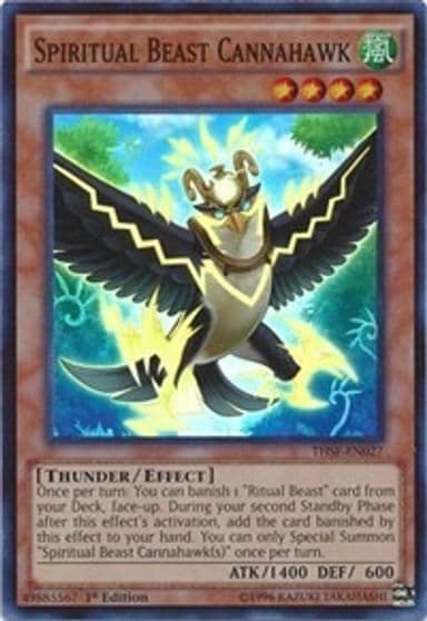 Spiritual Beast Cannahawk The Secret Forces Yu-Gi-Oh! card