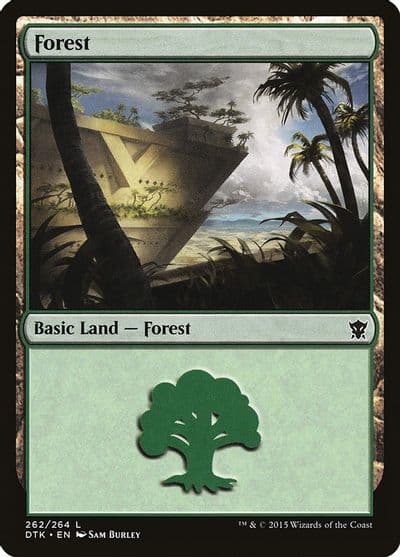 Forest 262 Dragons of Tarkir Magic card