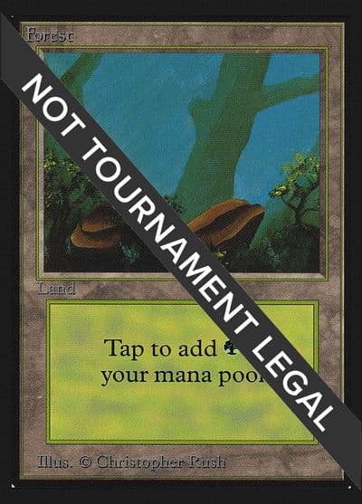 Forest A IE International Edition Magic card