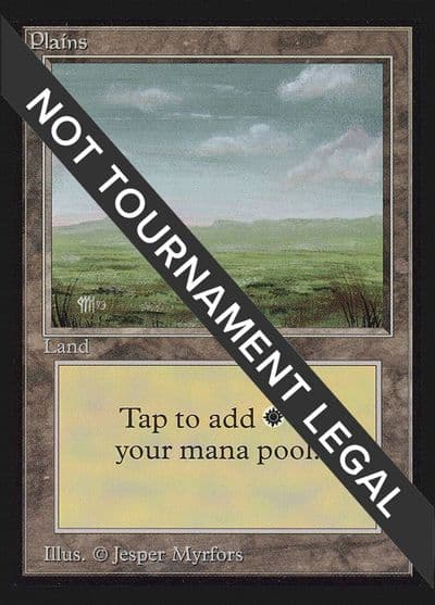 Plains C IE International Edition Magic card