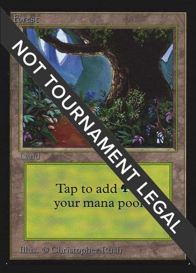 Forest B CE Collector's Edition Magic card