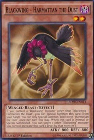 Blackwing Harmattan the Dust Breakers of Shadow Yu-Gi-Oh! card