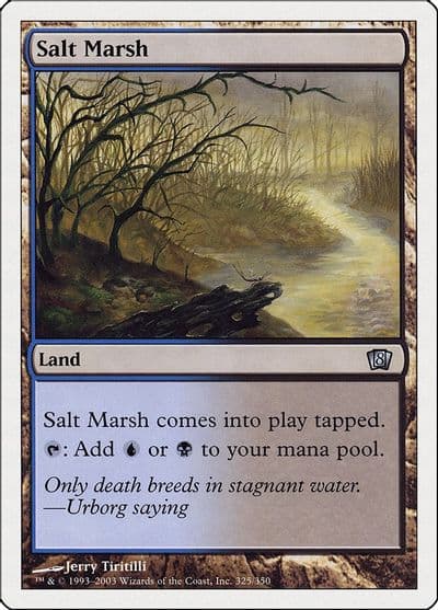 Salt Marsh 8th Edition Magic card