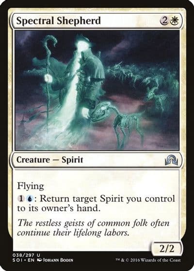 Spectral Shepherd Shadows over Innistrad Magic card