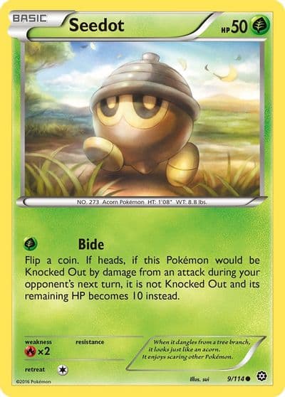 Seedot XY - Steam Siege Pokemon card