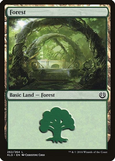 Forest 262 Kaladesh Magic card