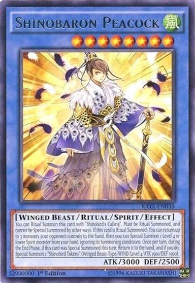 Shinobaron Peacock Raging Tempest Yu-Gi-Oh! card