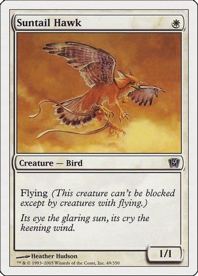 Suntail Hawk 9th Edition Magic card