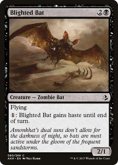 Blighted Bat Amonkhet Magic card