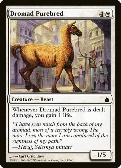 Dromad Purebred Ravnica: City of Guilds Magic card