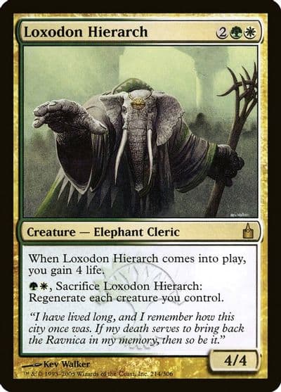 Loxodon Hierarch Ravnica: City of Guilds Magic card