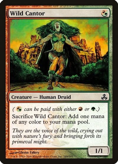 Wild Cantor Guildpact Magic card