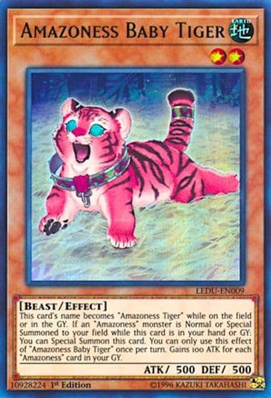 Amazoness Baby Tiger Legendary Duelists Yu-Gi-Oh! card
