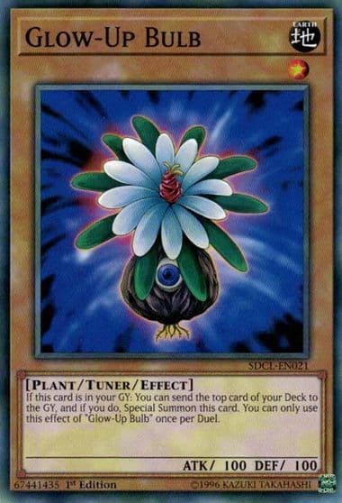 Glow Up Bulb Structure Deck: Cyberse Link Yu-Gi-Oh! card