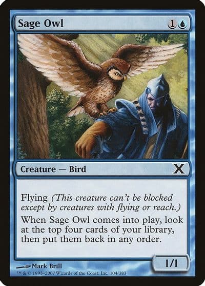 Sage Owl 10th Edition Magic card