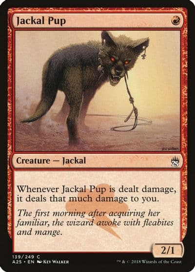 Jackal Pup Masters 25 Magic card