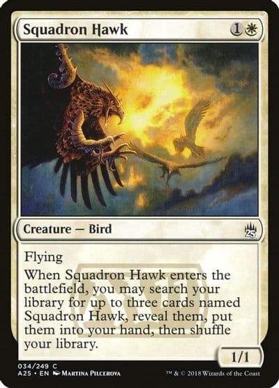 Squadron Hawk Masters 25 Magic card