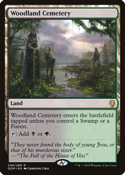 Woodland Cemetery Dominaria Magic card