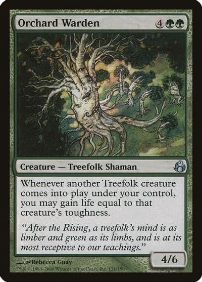 Orchard Warden Morningtide Magic card