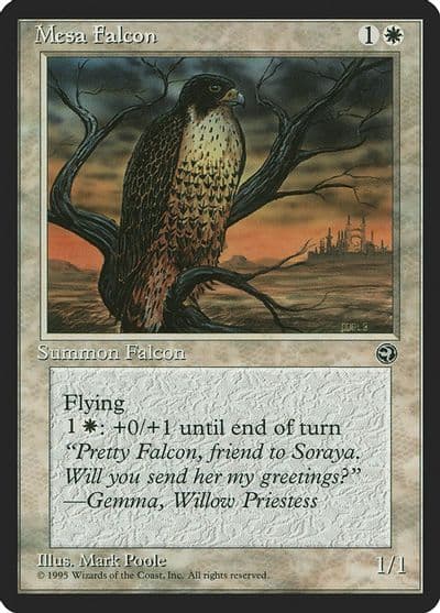 Mesa Falcon Version 2 Homelands Magic card