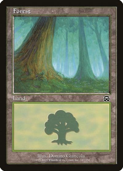 Forest 347 Mercadian Masques Magic card