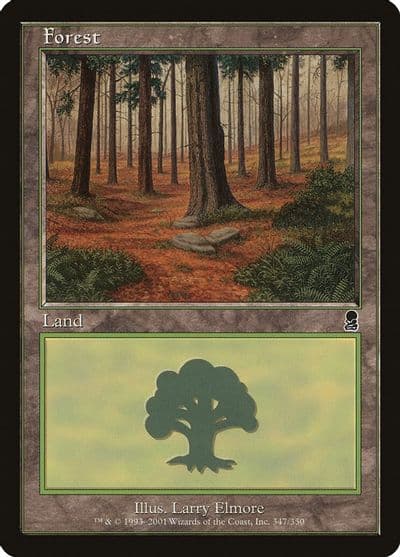 Forest 347 Odyssey Magic card