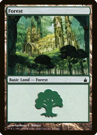 Forest 305 Ravnica: City of Guilds Magic card