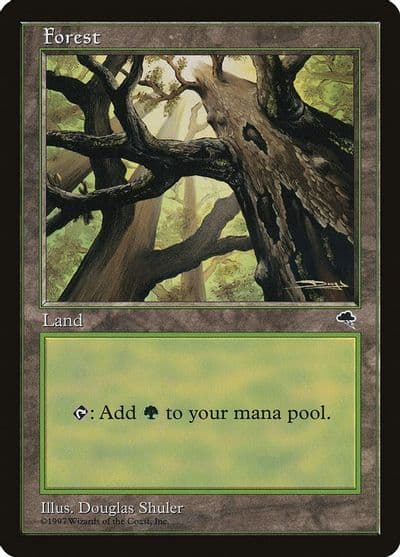 Forest Skyward Tempest Magic card