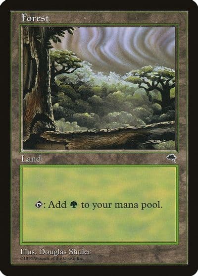 Forest Cloudy Tempest Magic card