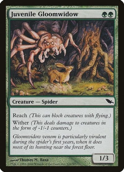 Juvenile Gloomwidow Shadowmoor Magic card