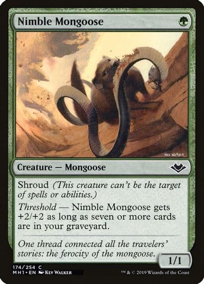 Nimble Mongoose Modern Horizons Magic card