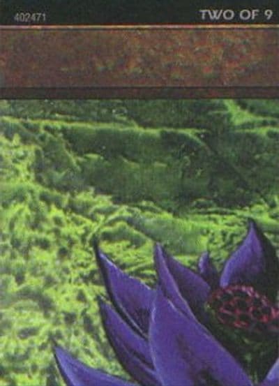 Black Lotus 2 of 9 Ultra Pro Puzzle Quest Media Promos Magic card