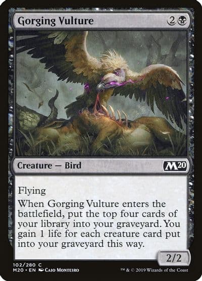 Gorging Vulture Core Set 2020 Magic card