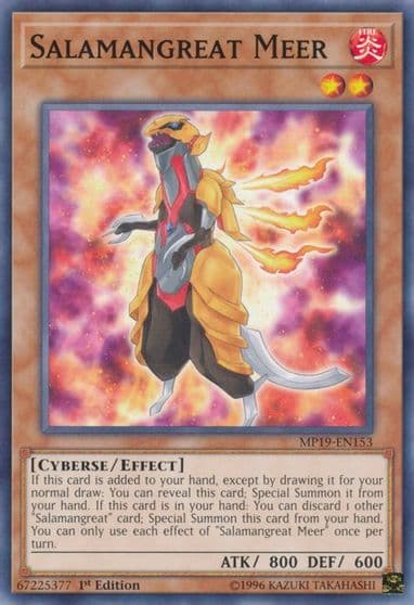Salamangreat Meer 2019 Gold Sarcophagus Tin Mega Pack Yu-Gi-Oh! card