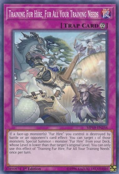 Training Fur Hire Fur All Your Training Needs 2019 Gold Sarcophagus Tin Mega Pack Yu-Gi-Oh! card