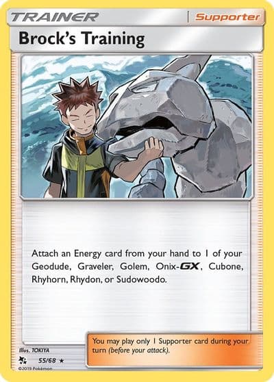 Brock's Training Hidden Fates Pokemon card