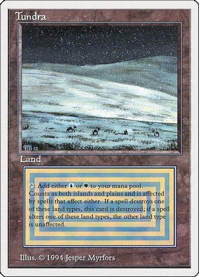 Tundra Summer Magic Magic card