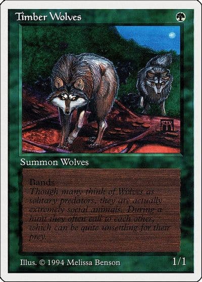 Timber Wolves Summer Magic Magic card