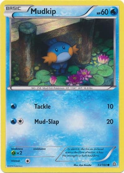 Mudkip (Sheen Holo) Miscellaneous Cards & Products Pokemon card