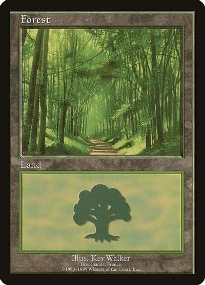 Forest Broceliande European Lands Magic card