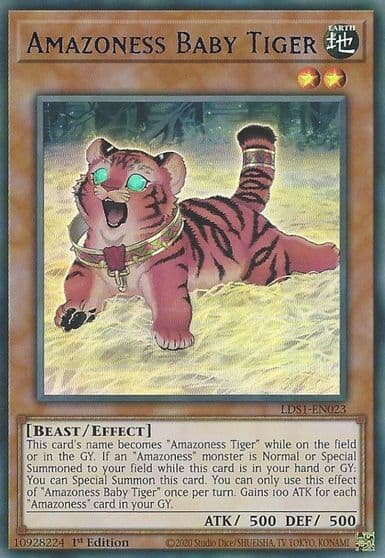 Amazoness Baby Tiger Blue Legendary Duelists: Season 1 Yu-Gi-Oh! card